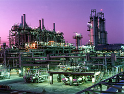 Tabriz Petrochemical